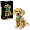 Le chiot Golden Retriever - 11384