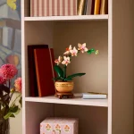 orchidee miniature 10343