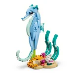 Animaux marins - les beaux dauphins - 31385