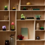 Les succulentes - 10309