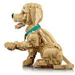 Le chiot Golden Retriever - 11384