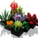 Les succulentes - 10309