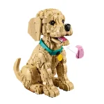 Le chiot Golden Retriever - 11384