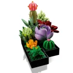 Les succulentes - 10309