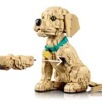 Le chiot Golden Retriever - 11384