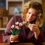 orchidee miniature 10343