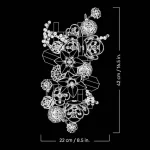 Le mur de fleurs - 11503