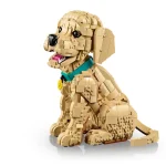 Le chiot Golden Retriever - 11384