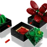 Les succulentes - 10309