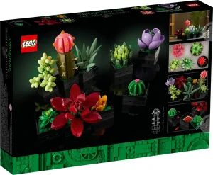 Les succulentes - 10309