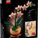 orchidee miniature 10343