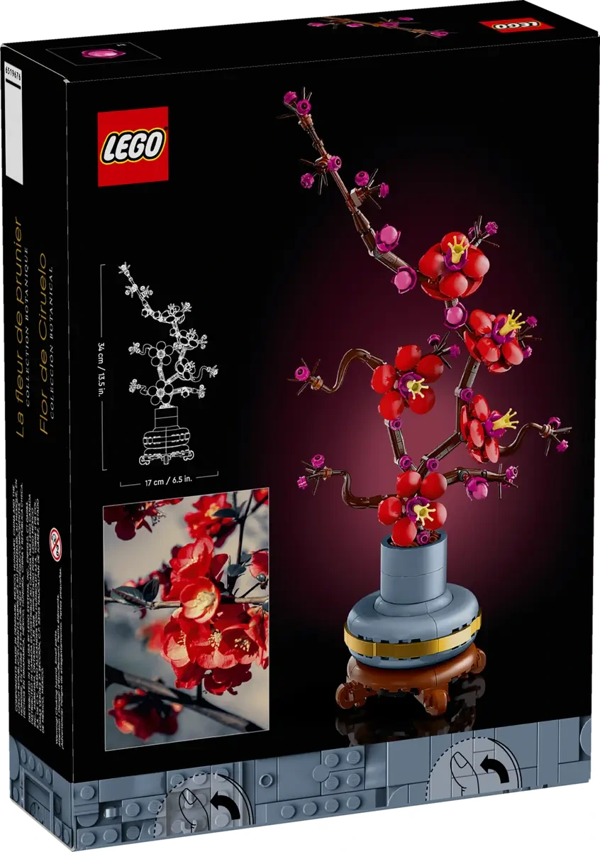Les fleurs de prunier - 10369