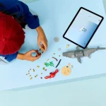 Le redoutable requin et le coffre au trésor - 31381