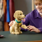 Le chiot Golden Retriever - 11384