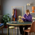 Le chiot Golden Retriever - 11384