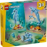 Animaux marins - les beaux dauphins - 31385