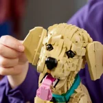 Le chiot Golden Retriever - 11384