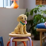 Le chiot Golden Retriever - 11384