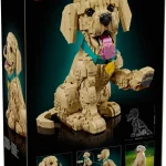 Le chiot Golden Retriever - 11384