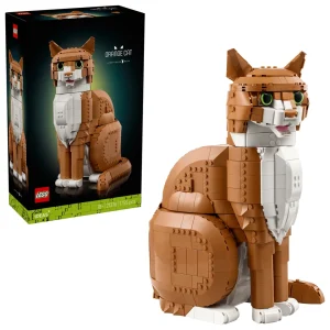 Le chat roux 2026