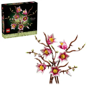 Branches de magnolia 2026