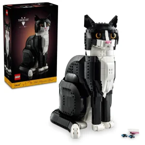 Le chat bicolore 2024