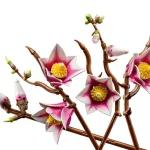 LEGO Collection Botanique Branches de magnolia - 11510