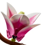 LEGO Collection Botanique Branches de magnolia - 11510