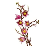 LEGO Collection Botanique Branches de magnolia - 11510
