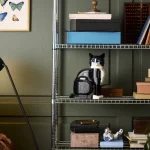 LEGO Ideas Le chat bicolore - 21349