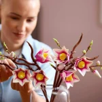 LEGO Collection Botanique Branches de magnolia - 11510