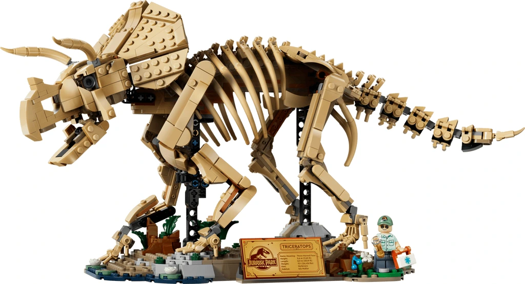Les fossiles de dinosaure : le tricératops 77985 LEGO Jurassic World