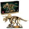 Les fossiles de dinosaure : le tricératops 77985 LEGO Jurassic World