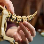 Les fossiles de dinosaure : le tricératops 77985 LEGO Jurassic World