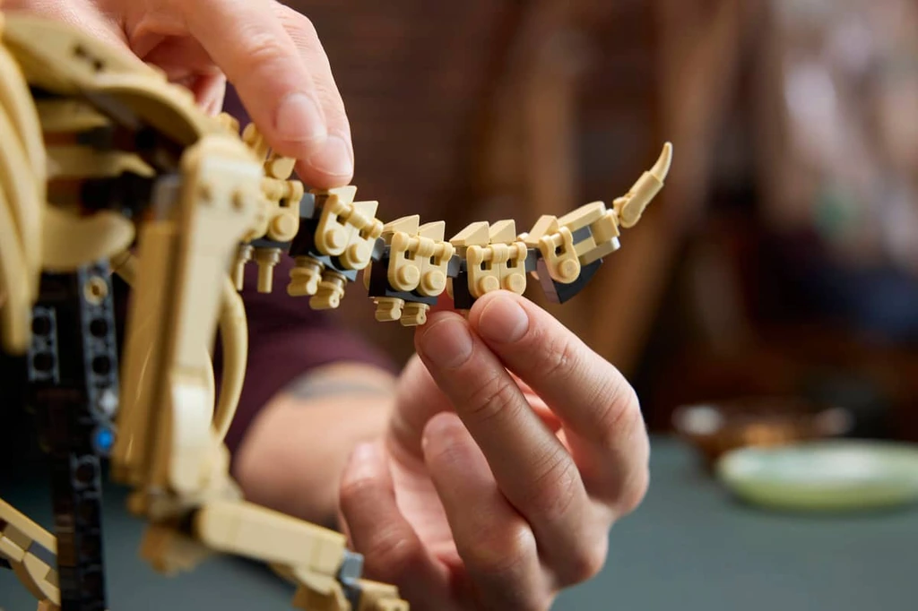 Les fossiles de dinosaure : le tricératops 77985 LEGO Jurassic World