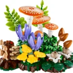 Les champignons des bois - image 1