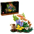 Les champignons des bois - image 2
