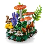 Les champignons des bois - image 3