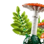 Les champignons des bois - image 5