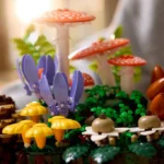 Les champignons des bois - image 7