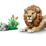 Animaux sauvages : le lion majestueux - image 8