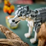 Les animaux de la forêt : le loup gris - image 13