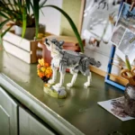 Les animaux de la forêt : le loup gris - image 14