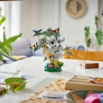 Animaux sauvages : la famille de koalas - image 20
