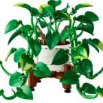 Pothos doré tombant - image 1