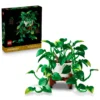 Pothos doré tombant - image 2