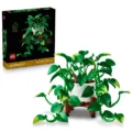 Pothos doré tombant - image 2