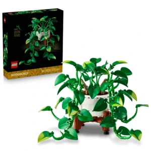 Pothos doré tombant 2026