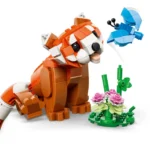 Les adorables animaux : le panda roux - image 3